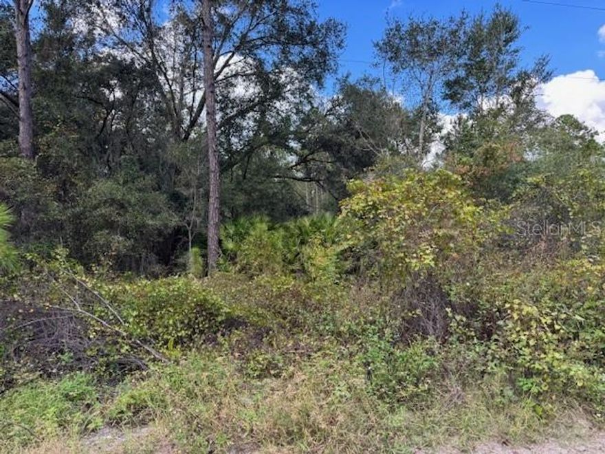 Beautiful corner lot in quiet Daytona Park Estates, DeLand! Nicely wooded with mature trees and unpaved roads for a peaceful “Old Florida” feel. Flexible space for your dream home, garden, or workshop. Conveniently close to downtown DeLand, Stetson University, shopping, dining, and area parks. Easy access to Daytona Beach, Orlando, and outdoor recreation. Ideal for builders, investors, or future homeowners—come see this lovely homesite today!