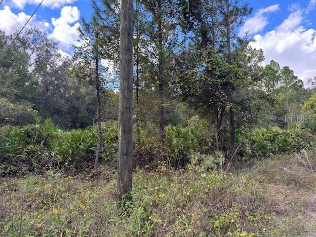 DAYTONA PARK ESTATES REP SEC B - Land