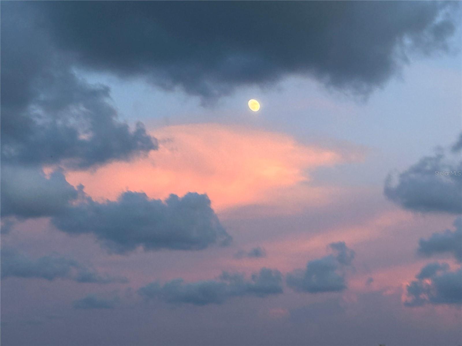 REGATTA BEACH CLUB CONDO - Residential Lease