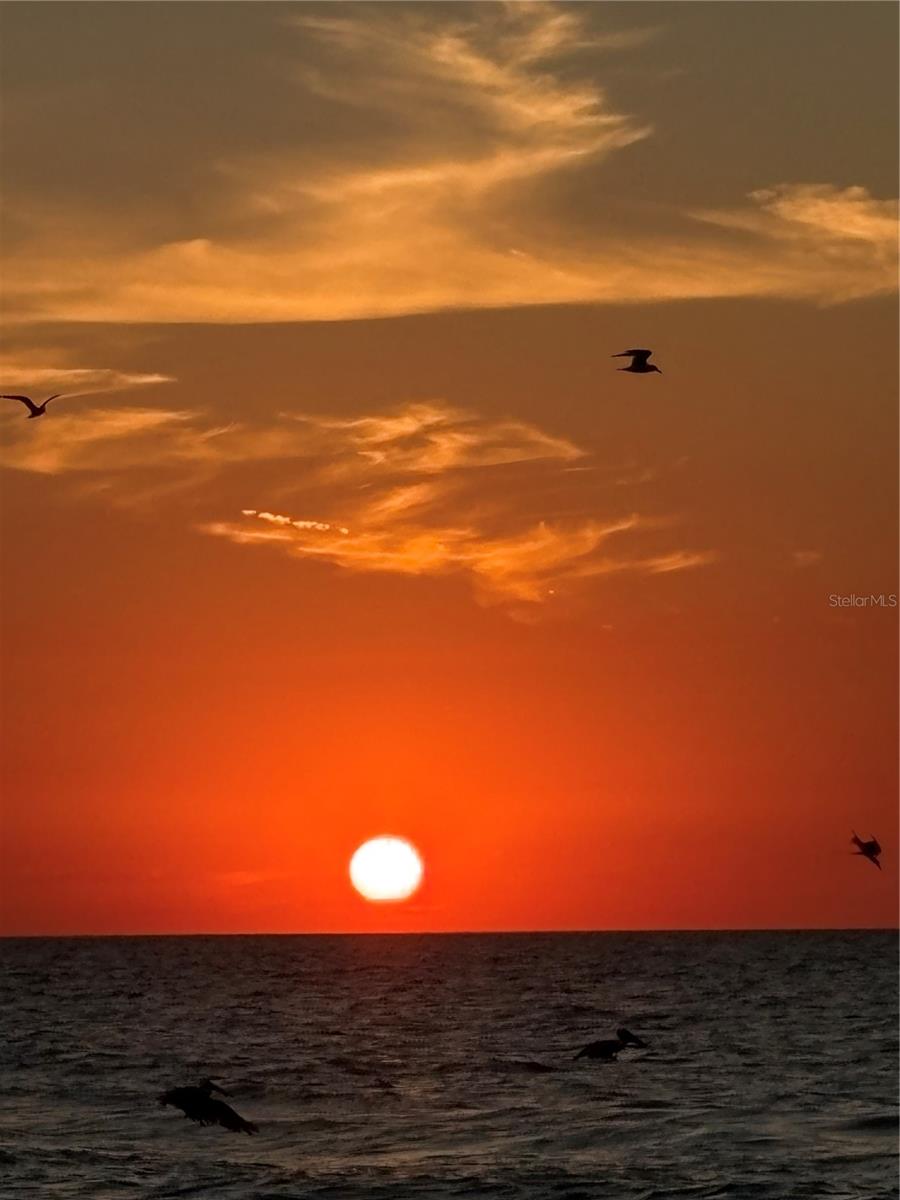 REGATTA BEACH CLUB CONDO - Residential Lease