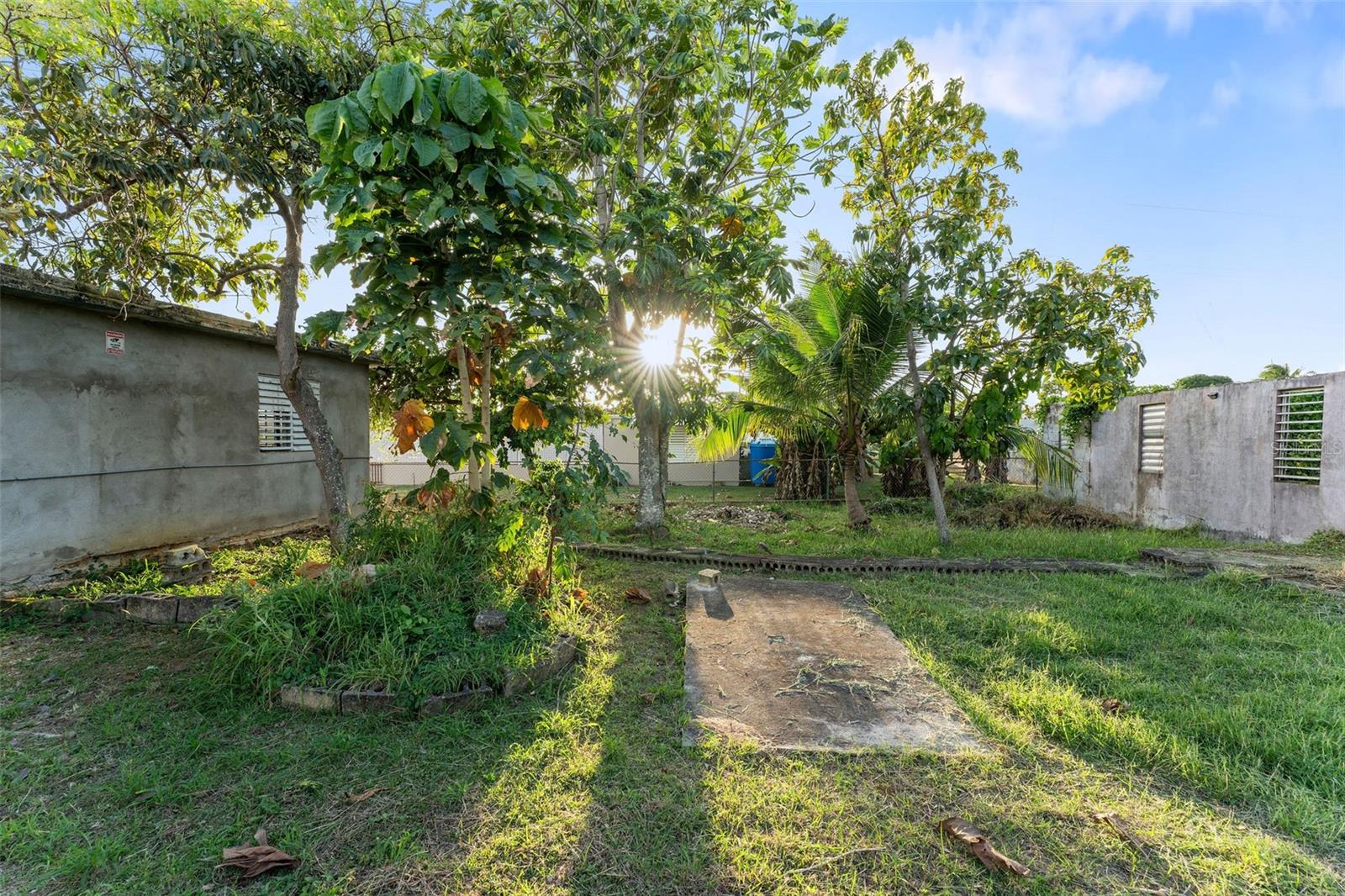 Calle Sector ULISES GRANT