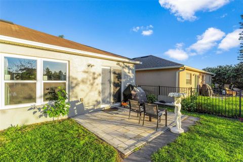 A home in MOUNT DORA