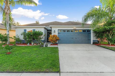 A home in MOUNT DORA