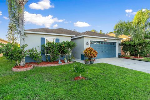 A home in MOUNT DORA