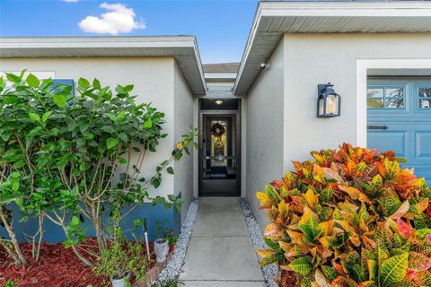 A home in MOUNT DORA