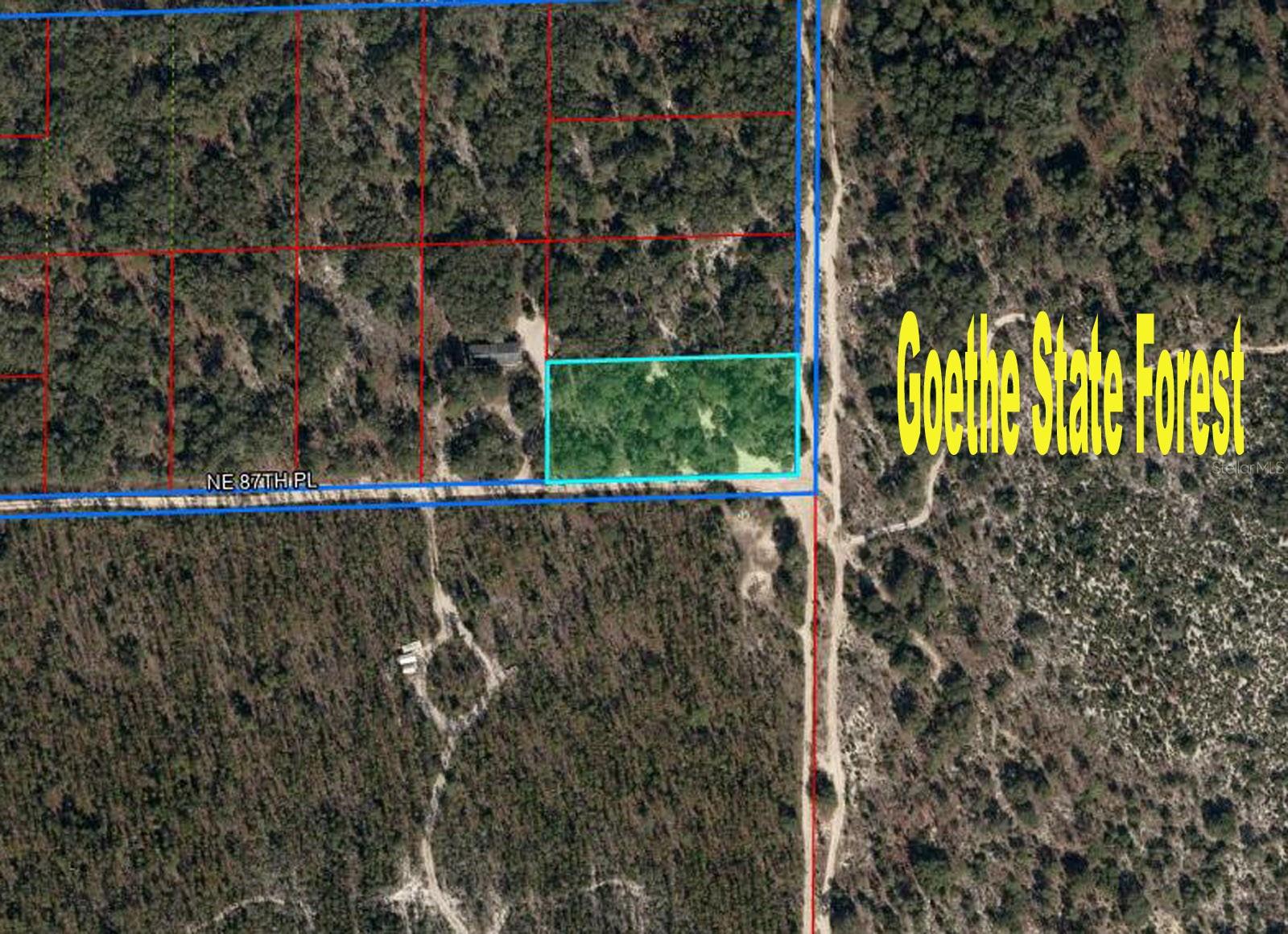 CORNER 1.25 ACRES in UNIVERSITY ESTATES. Adjacent to the Goethe Forest. Located just outside the town of Bronson, this would be an ideal site for your new home. Zoned for either site-built homes or Manufactured homes. Parcel Measures about 165' x 330'. This area has easy access into Gainesville on Archer Road (SR24) and still has lower Levy County taxes.