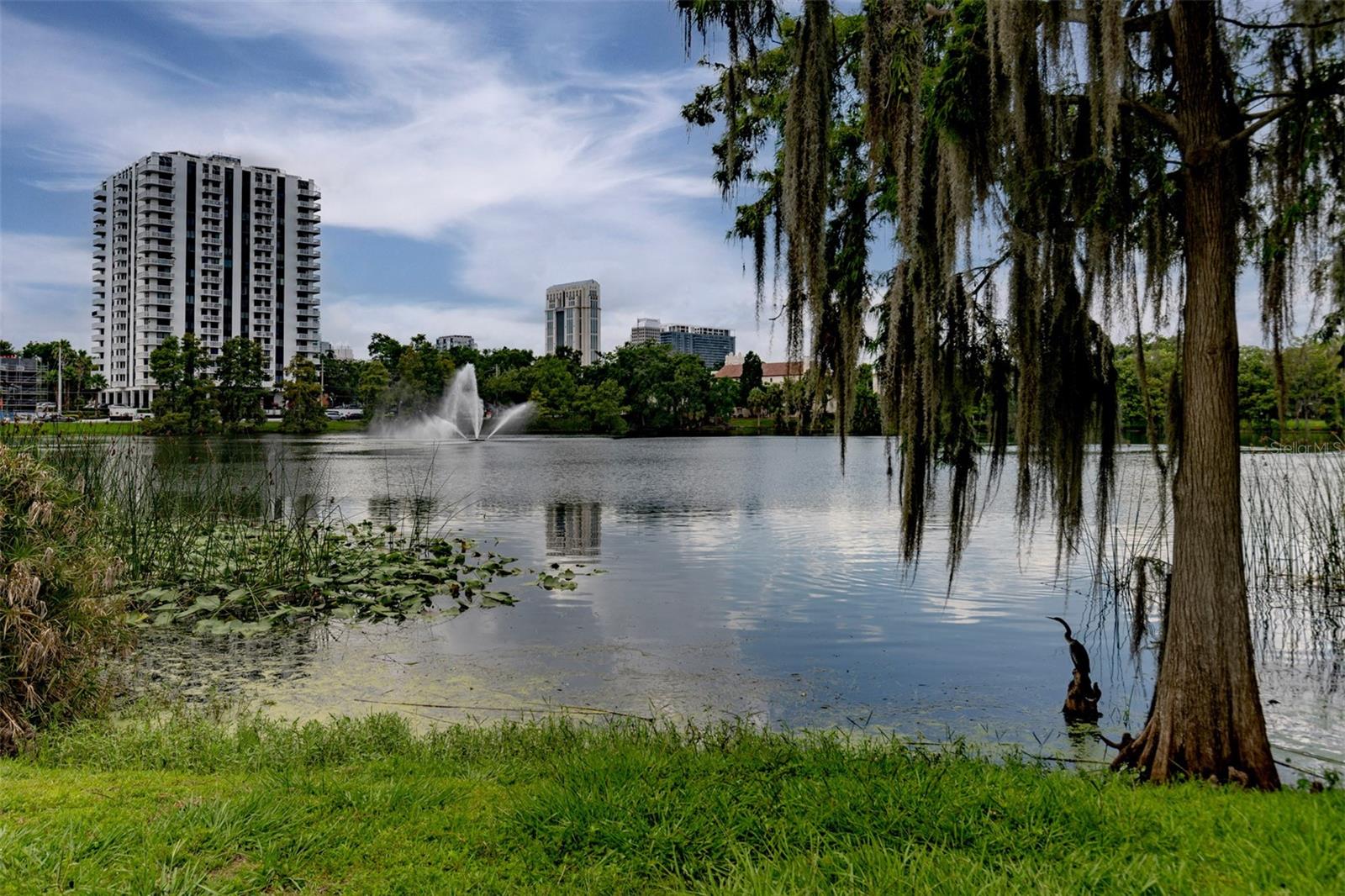 PARK LAKE/HIGHLAND NEIGHBORHOOD ASSOCIATION,INC. - Residential