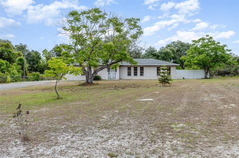 A home in DELTONA