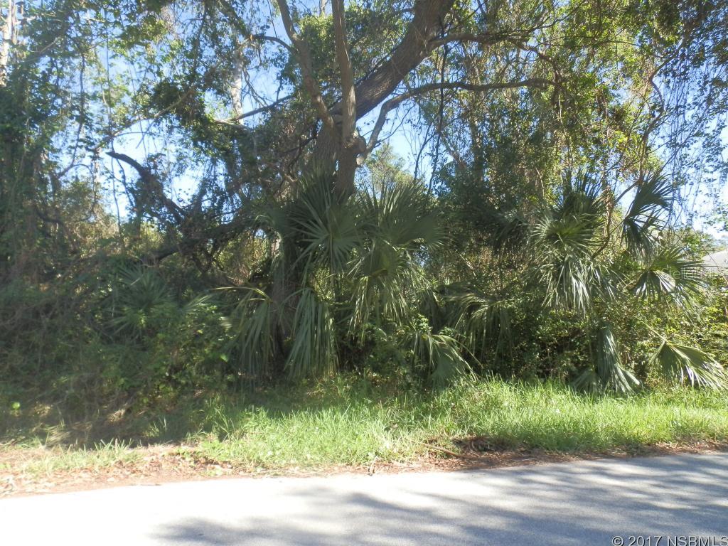 Florida Shores 01 - Land