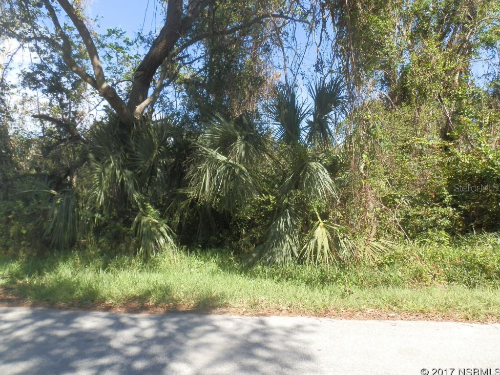 Florida Shores 01 - Land