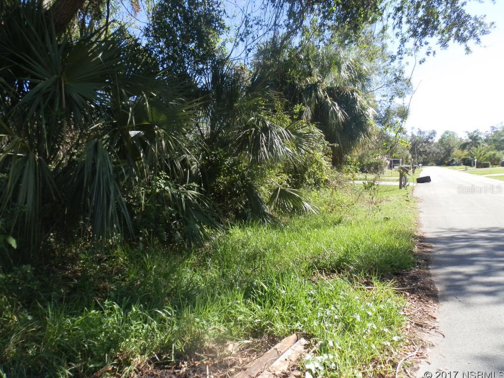 Florida Shores 01 - Land