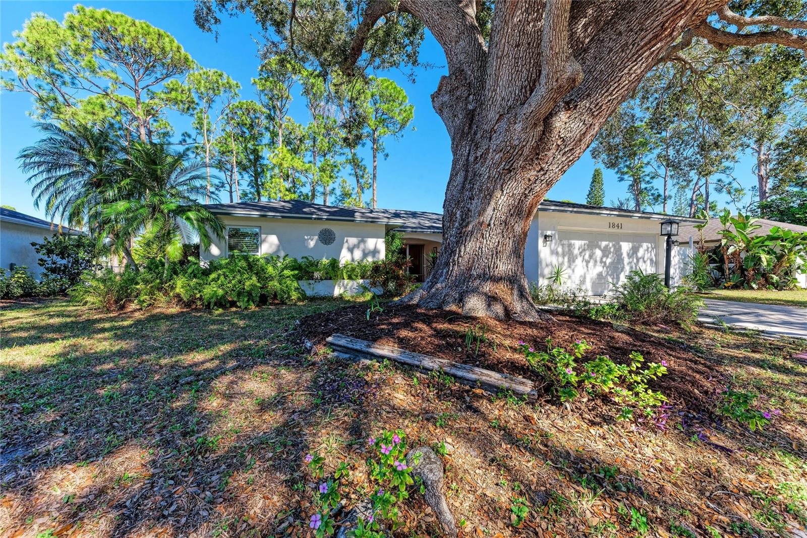 TAMARON - Residential