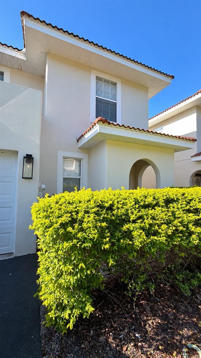Photo of 3128 Santorini Court, Tampa, FL 33611 (MLS # J1005134)