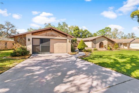 A home in SPRING HILL