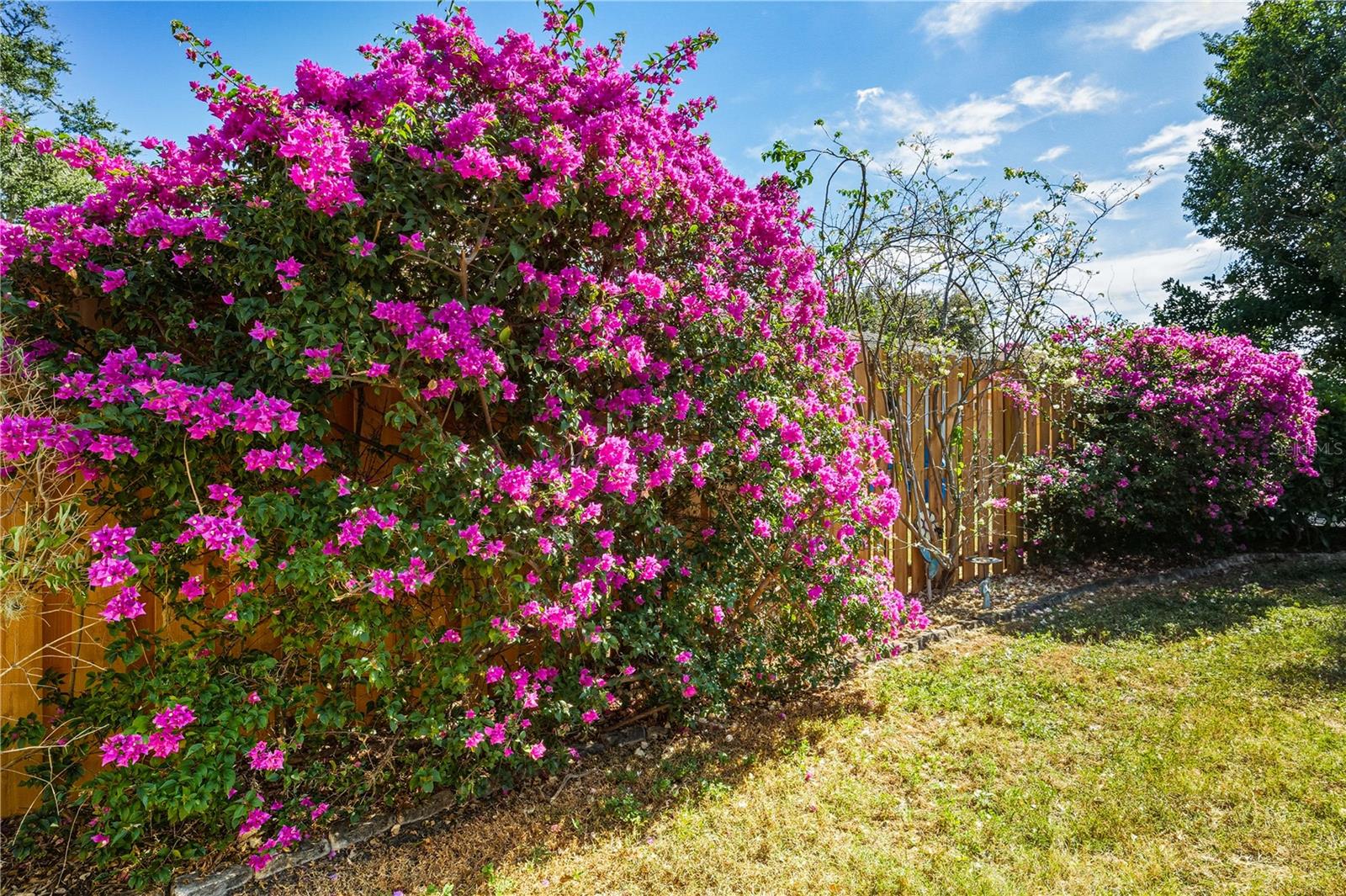 RIDGEWOOD ESTATES 20TH ADD - Residential