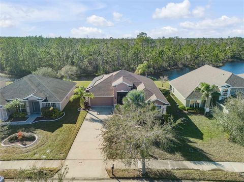 A home in DAYTONA BEACH