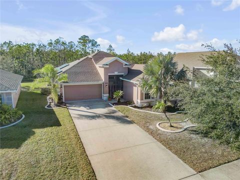 A home in DAYTONA BEACH