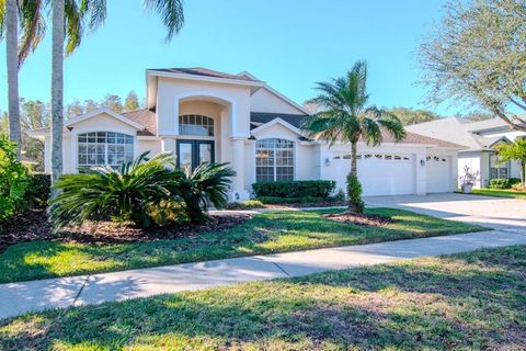 A home in TAMPA