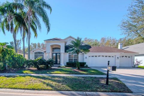 A home in TAMPA