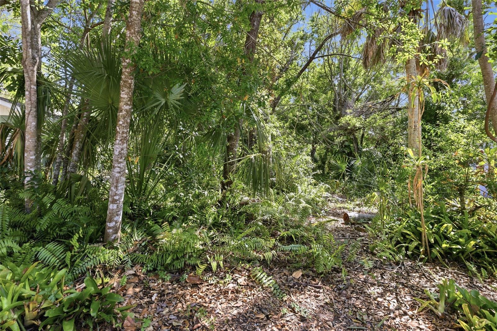 EDGEWATER - Residential