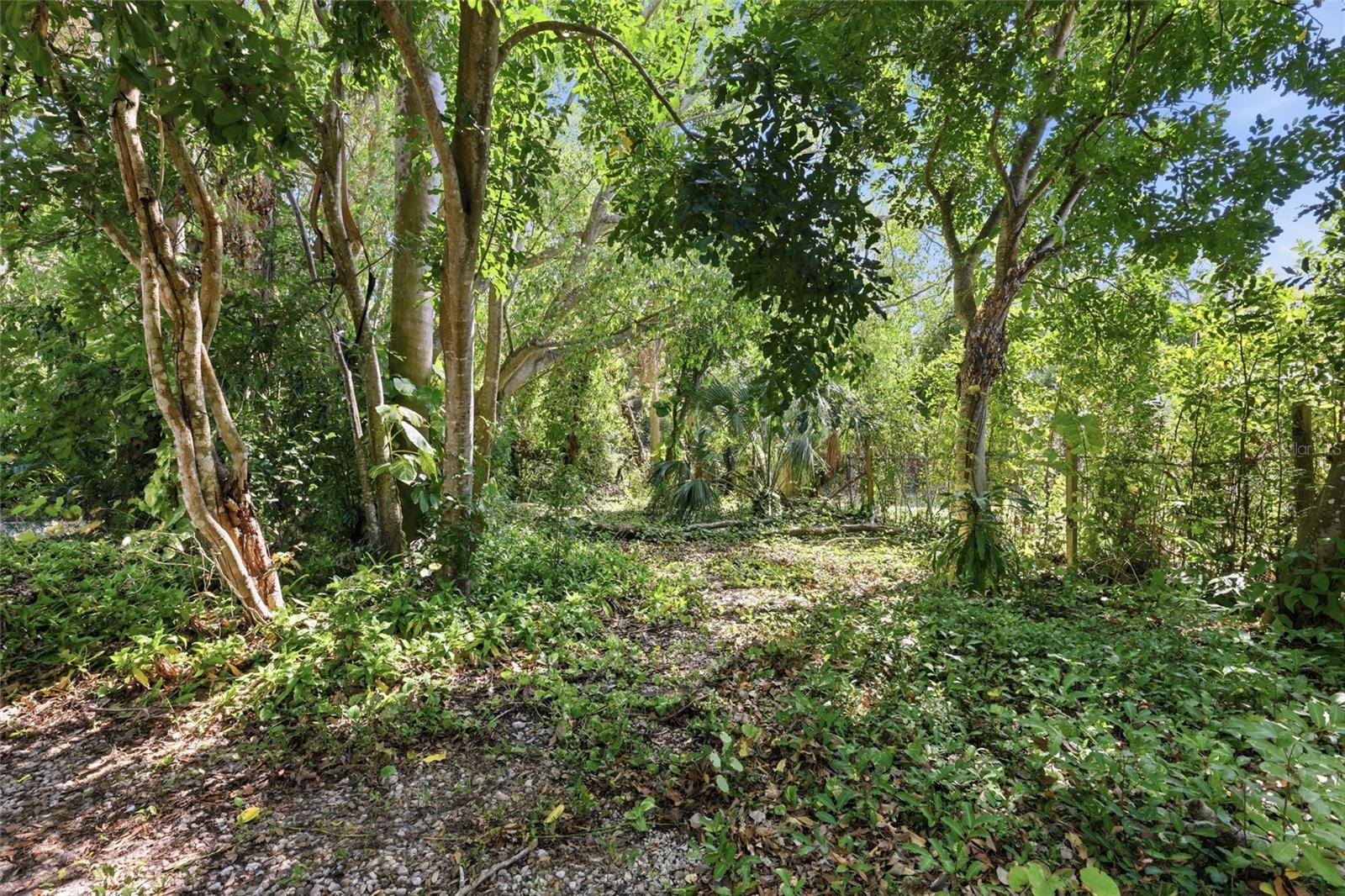 EDGEWATER - Residential