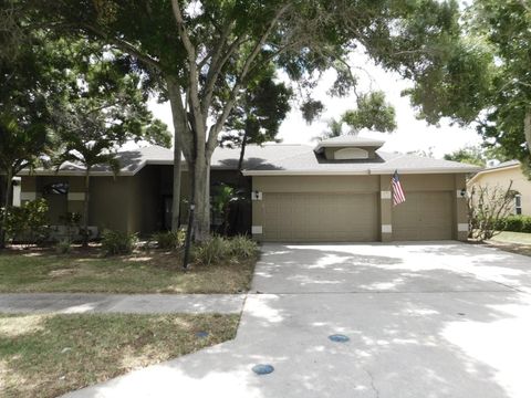 Photo of 2080 Simeon Drive, Palm Harbor, FL 34683 (MLS # TB8503096)