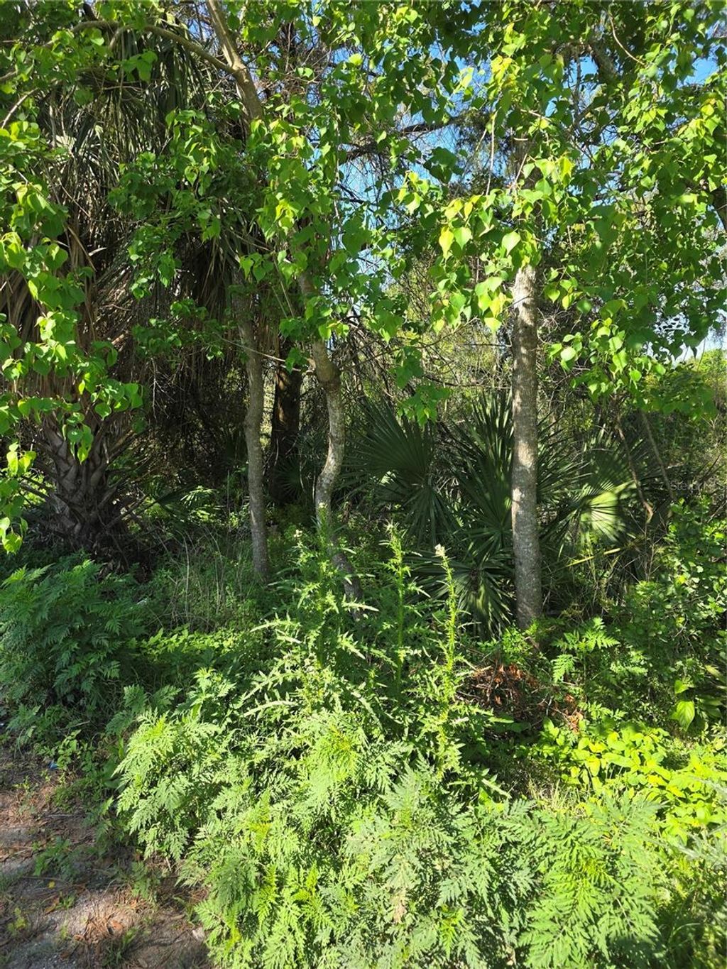 Photo of 226 Walnut Avenue, Orange City, FL 32763 (MLS # V4948533)