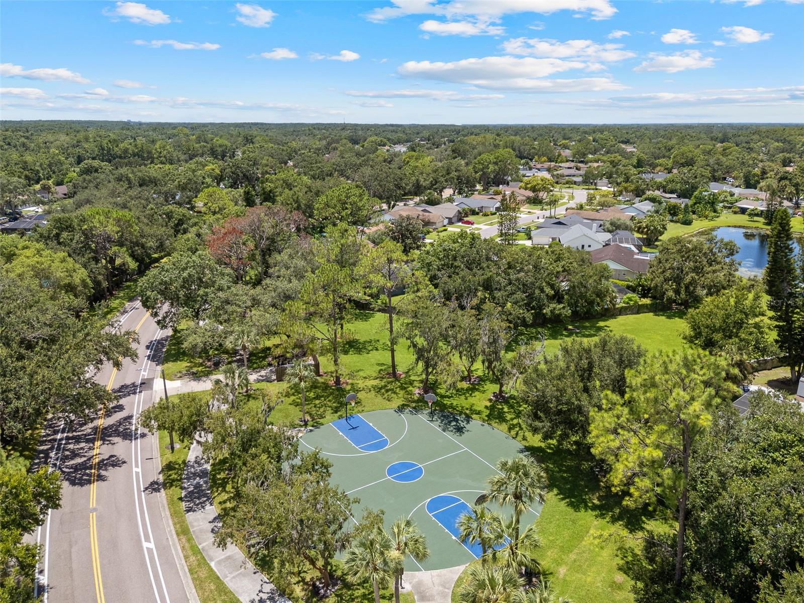 VILLAGE IX OF CARROLLWOOD VILL - Residential Lease
