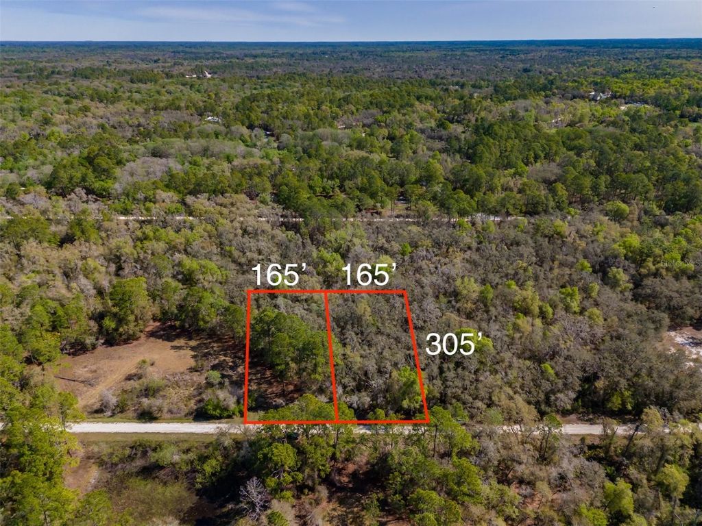 Photo of 7252 Sonia Avenue, Webster, FL 33597 (MLS # TB8487924)