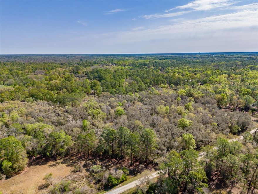 Located in the desirable community of Ridge Manor, this 1.16-acre wooded homesite offers an exceptional opportunity to build your custom dream home. With its natural setting and mature trees, the property provides a serene and private backdrop while serving as a blank canvas for your vision. Enjoy the peaceful surroundings without sacrificing convenience—this location offers close proximity to everyday amenities, shopping, dining, and easy interstate access. Outdoor enthusiasts will appreciate nearby access to the Withlacoochee River, Croom Wildlife Management Area, and scenic hiking trails, making it an ideal blend of nature and accessibility. 
Sellers also own the adjacent lot and have expressed a preference to sell both properties together. 
The adjoining parcel is listed under MLS ID TB8487932, located at 7262 Sonia Ave., Webster, FL 33597 (Lot 16).