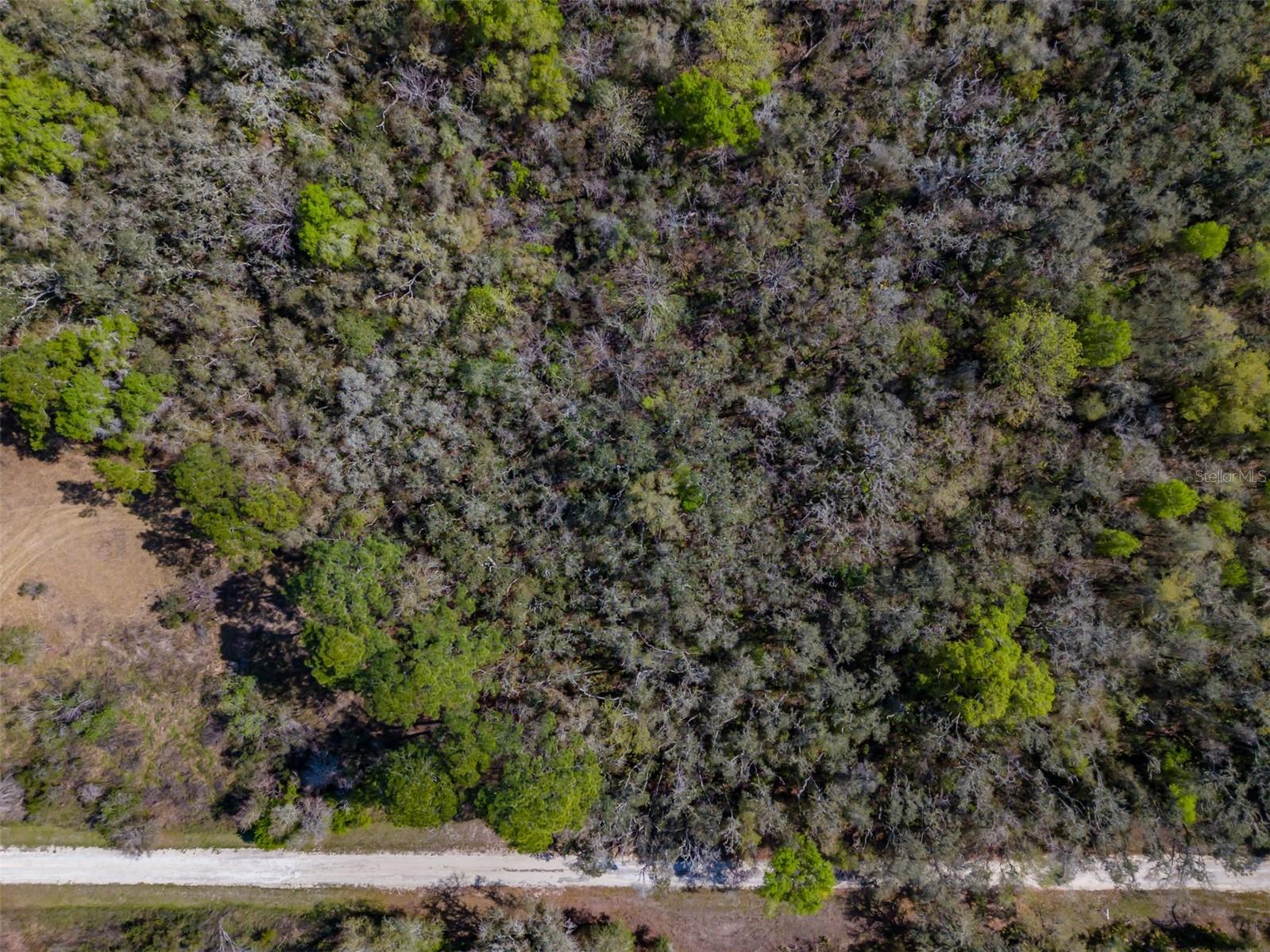 RIDGE MANOR ESTATE - Land