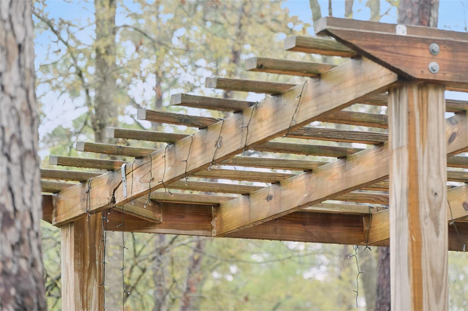 SPRINGTREE - Residential