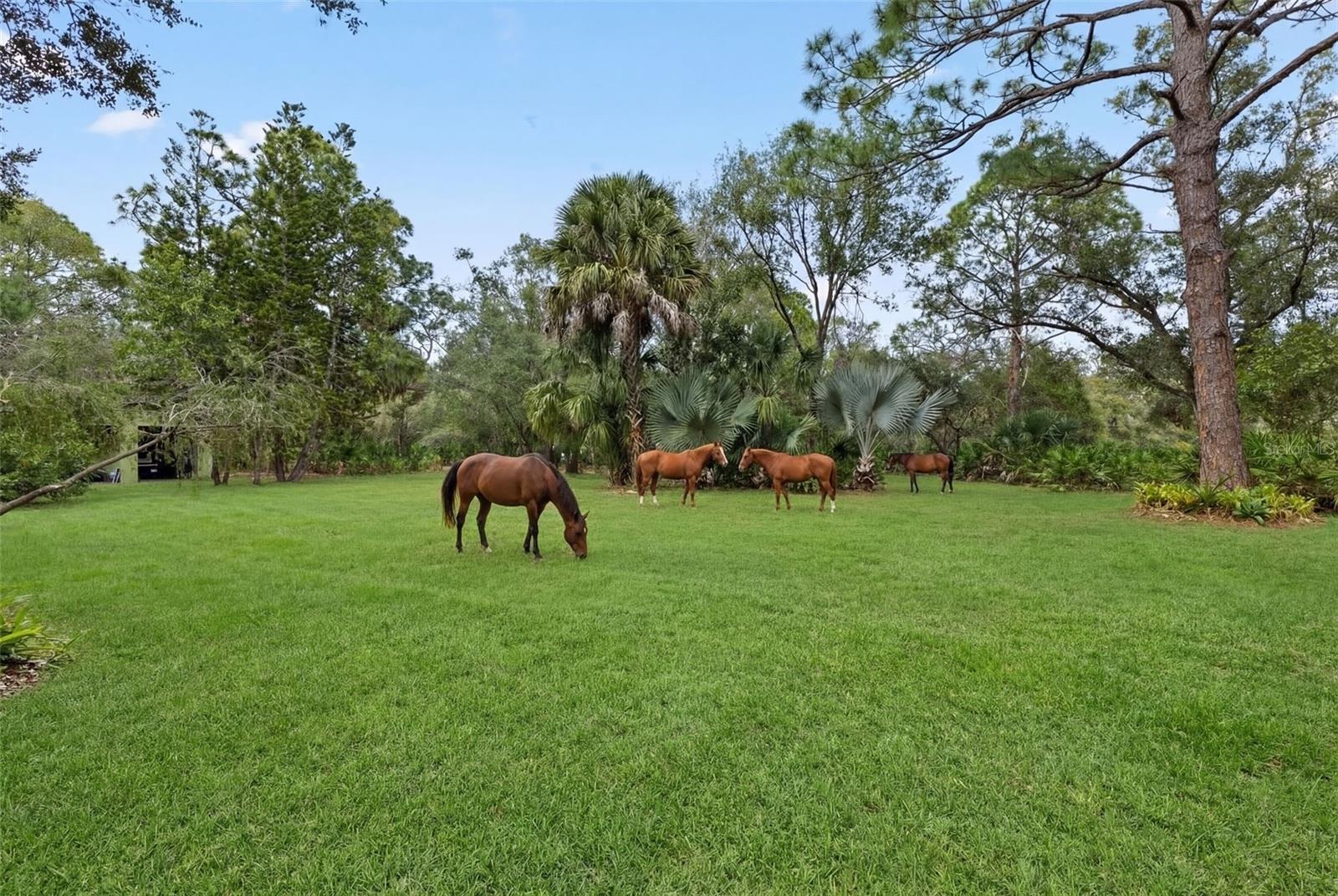 PINE VALLEY RANCHES - Residential