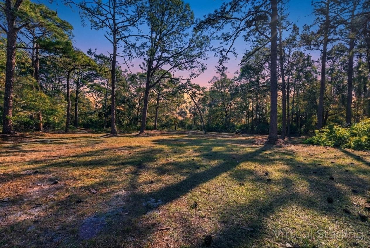 PINE VALLEY RANCHES - Residential