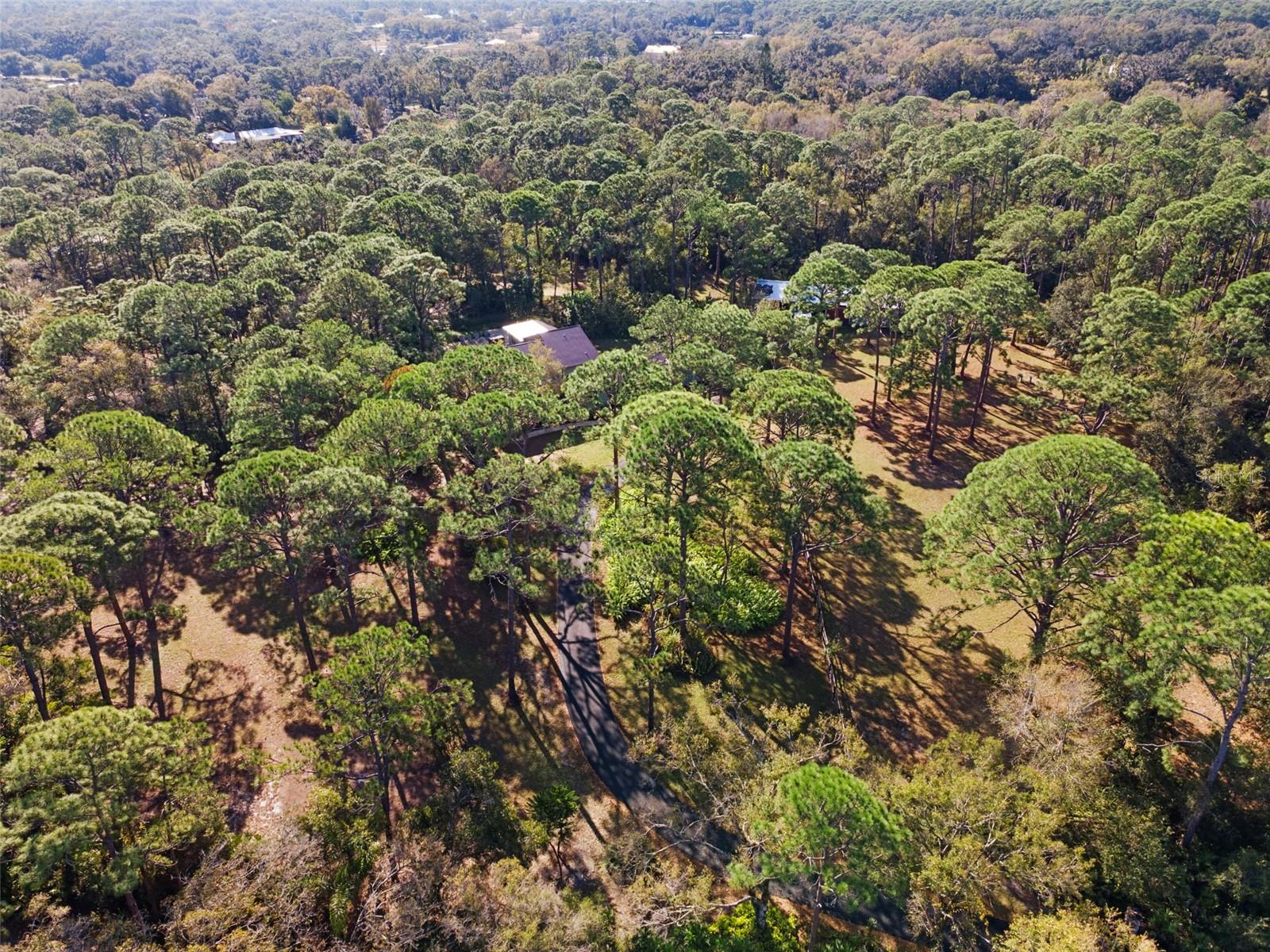 PINE VALLEY RANCHES - Residential