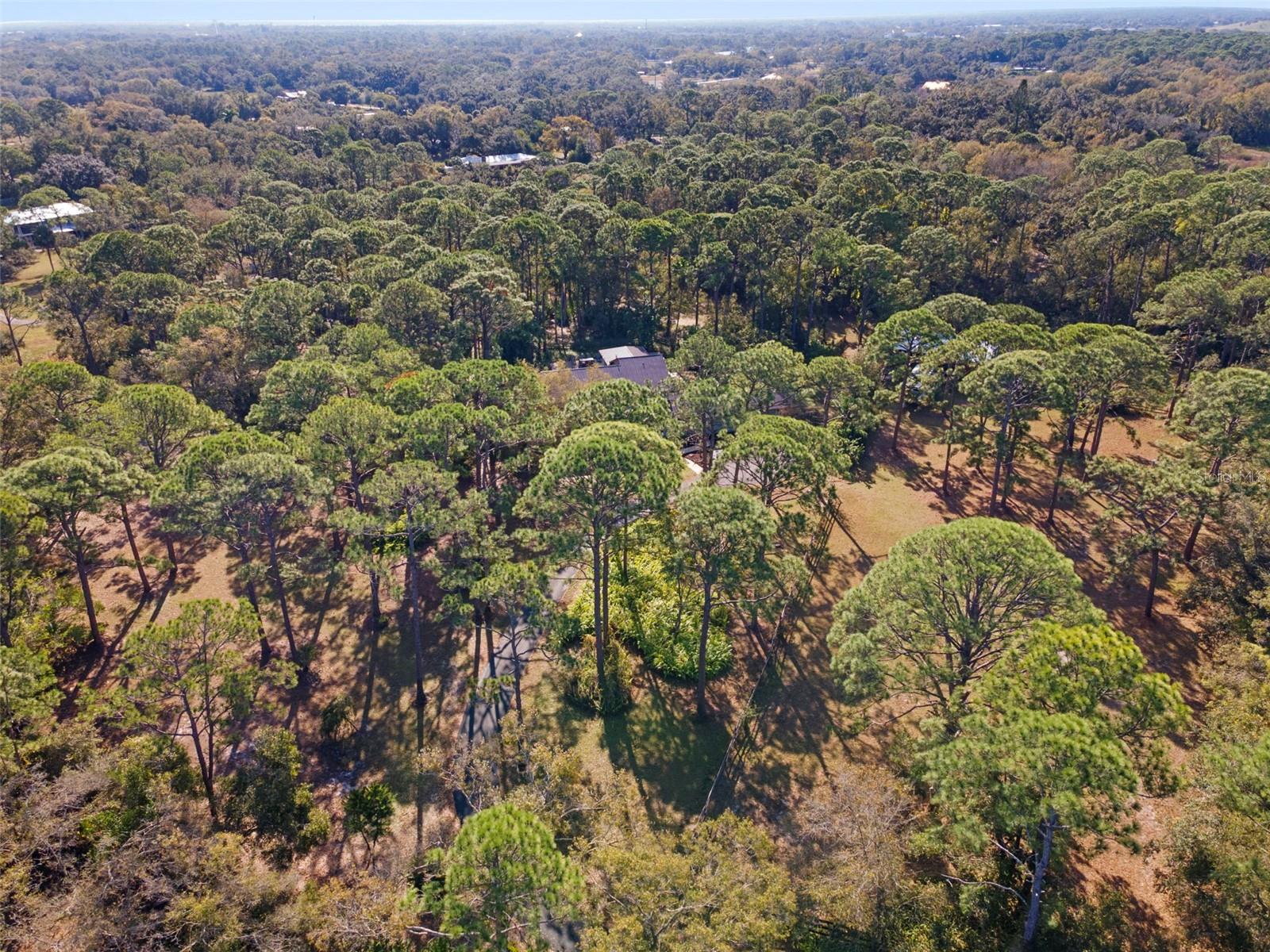 PINE VALLEY RANCHES - Residential