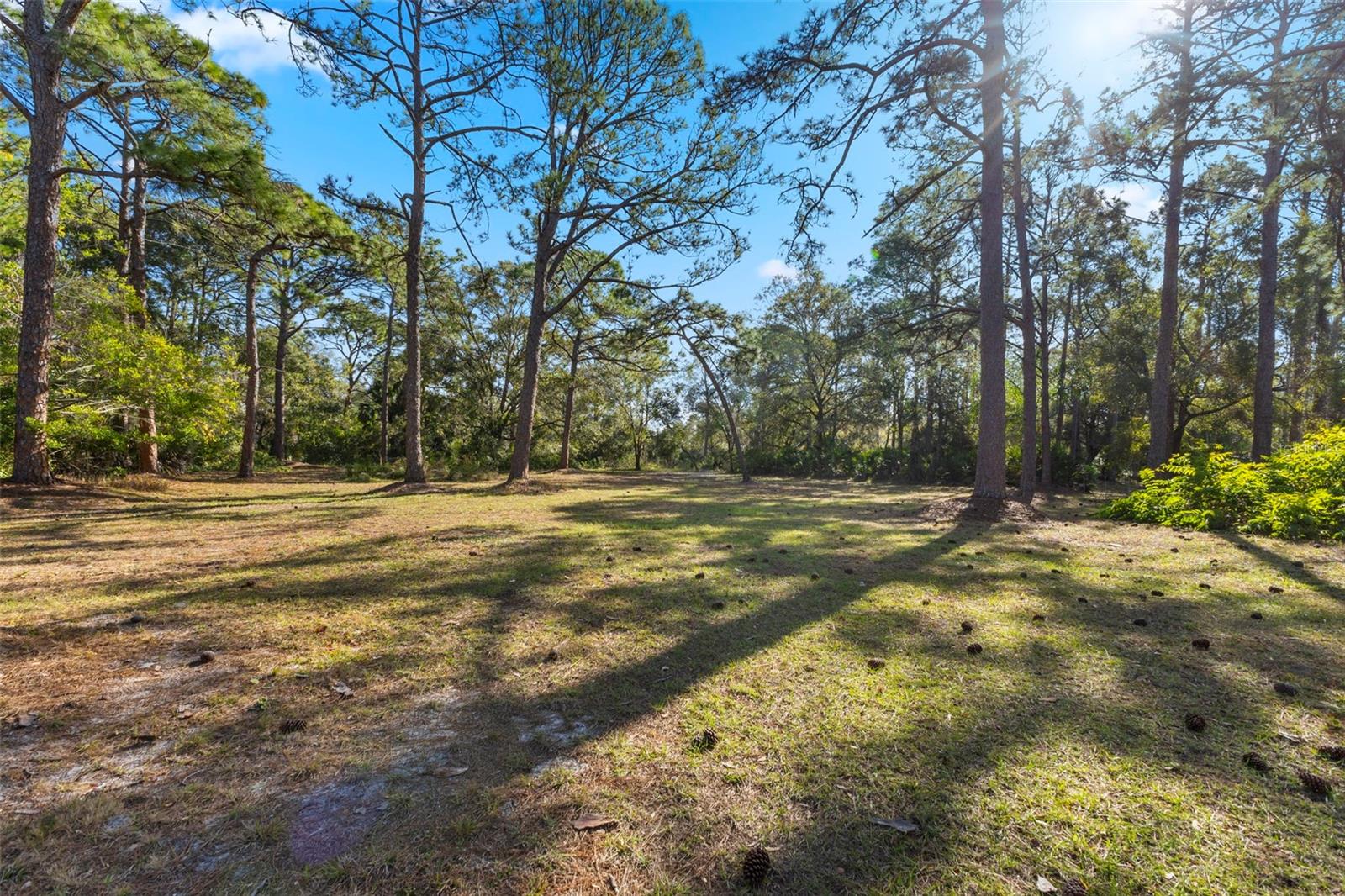 PINE VALLEY RANCHES - Residential