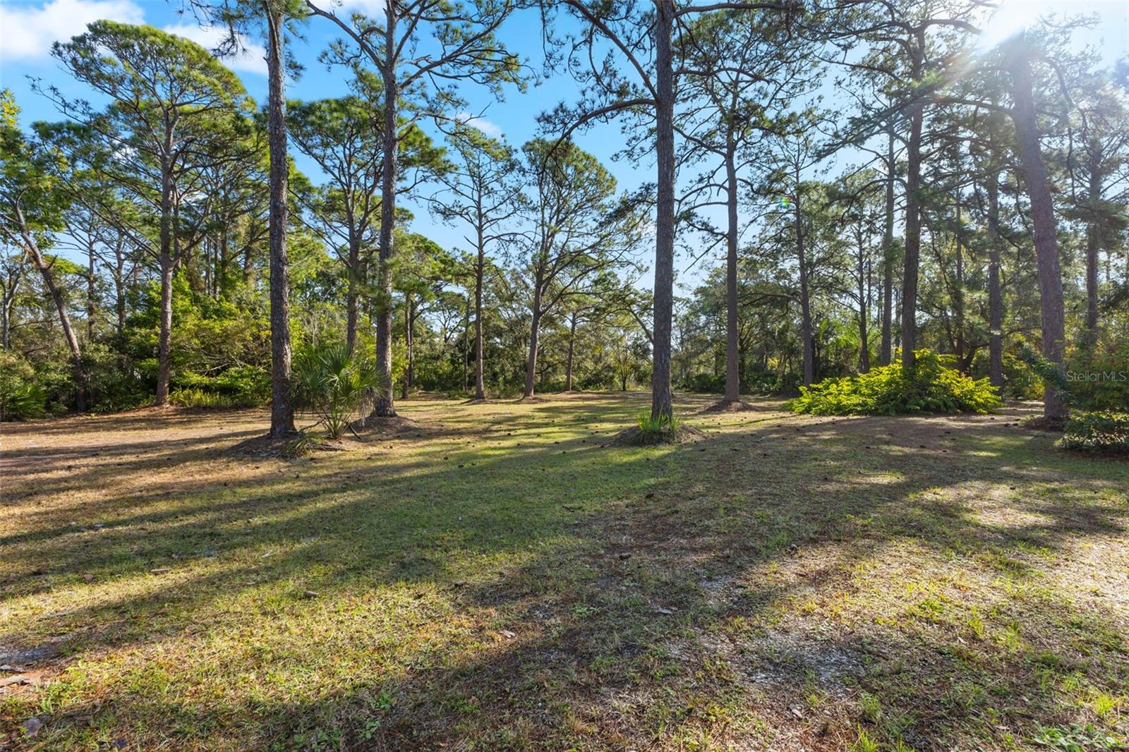 PINE VALLEY RANCHES - Residential