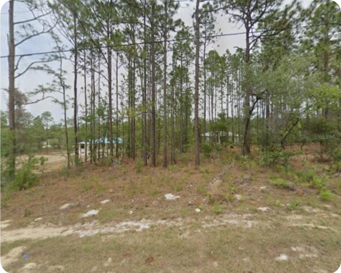 Discover the perfect setting for a private estate or sustainable Homestead on this exceptional .23 acre parcel enjoy the freedom and space to cultivate your own gardens, raise livestock or simply relish the peace and quiet of country living. Imagine building your dream home on this expansive canvas, surrounded by nature’s beauty and tranquility.