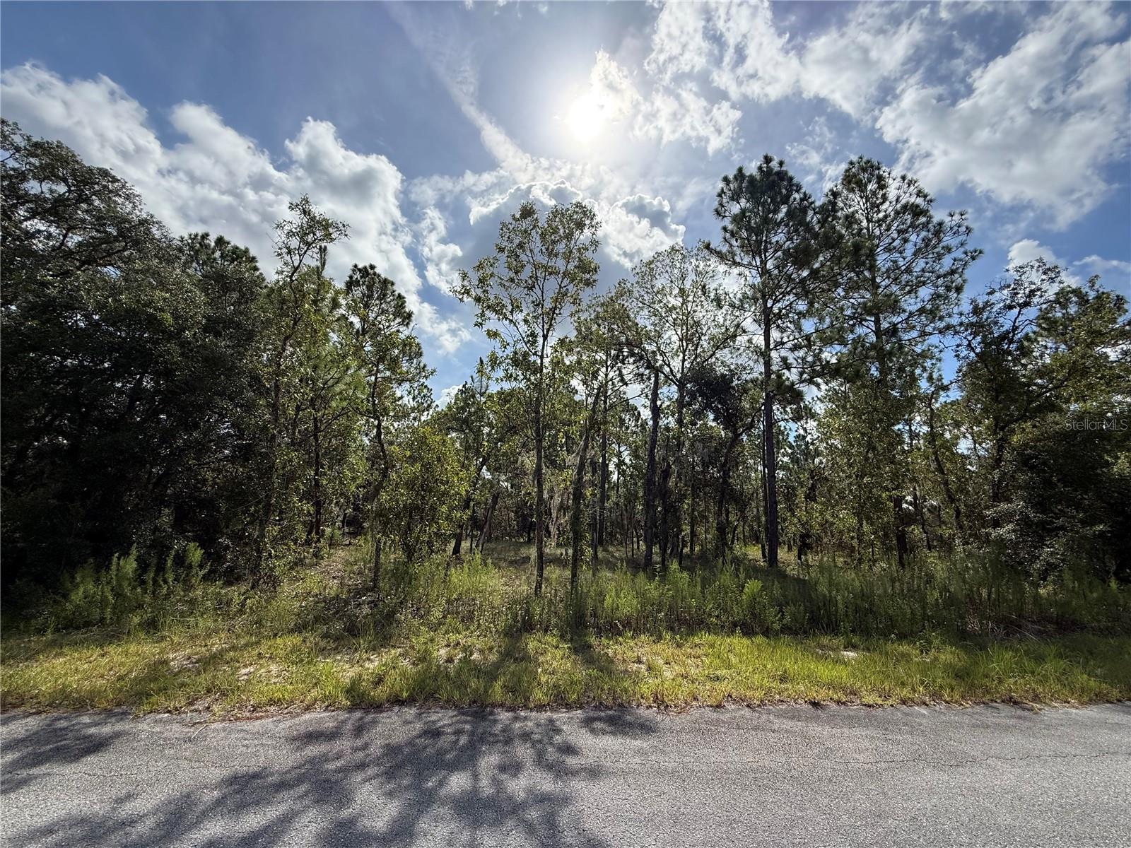 A beautifully located lot in the charming and growing neighborhood of Rainbow Lakes Estates. This lot has electric close by and is in FEMA flood zone x. This community offers many extras including a clubhouse, community center, youth center, library, park, boat ramp, 2 lakes that feature a dock for fishing or watching the sunset and a beautiful gazebo for a picnic! There is also a shuffleboard court and a horseshoe court, there is something to do for everyone in the family!! What a great place to have adventures with your family or friends who come to visit! Rainbow Springs, KP Hole, public golf courses and much more are nearby. Rainbow Lakes Estates MSD is to provide quality recreational opportunities and facilities to the residents and property owner. The community center, clubhouse, courts and ball fields are maintained through the collection of an assessment, which is part of the non ad valorem taxes on your annual real estate tax bill. There are no additional fees and no HOA!! To top all of this off you are just 15 short minutes from the Gulf. Historic Dunnellon is about 8 miles away and you will fall in love with the antique shops as well as well as the many fabulous and locally owned places to dine out!