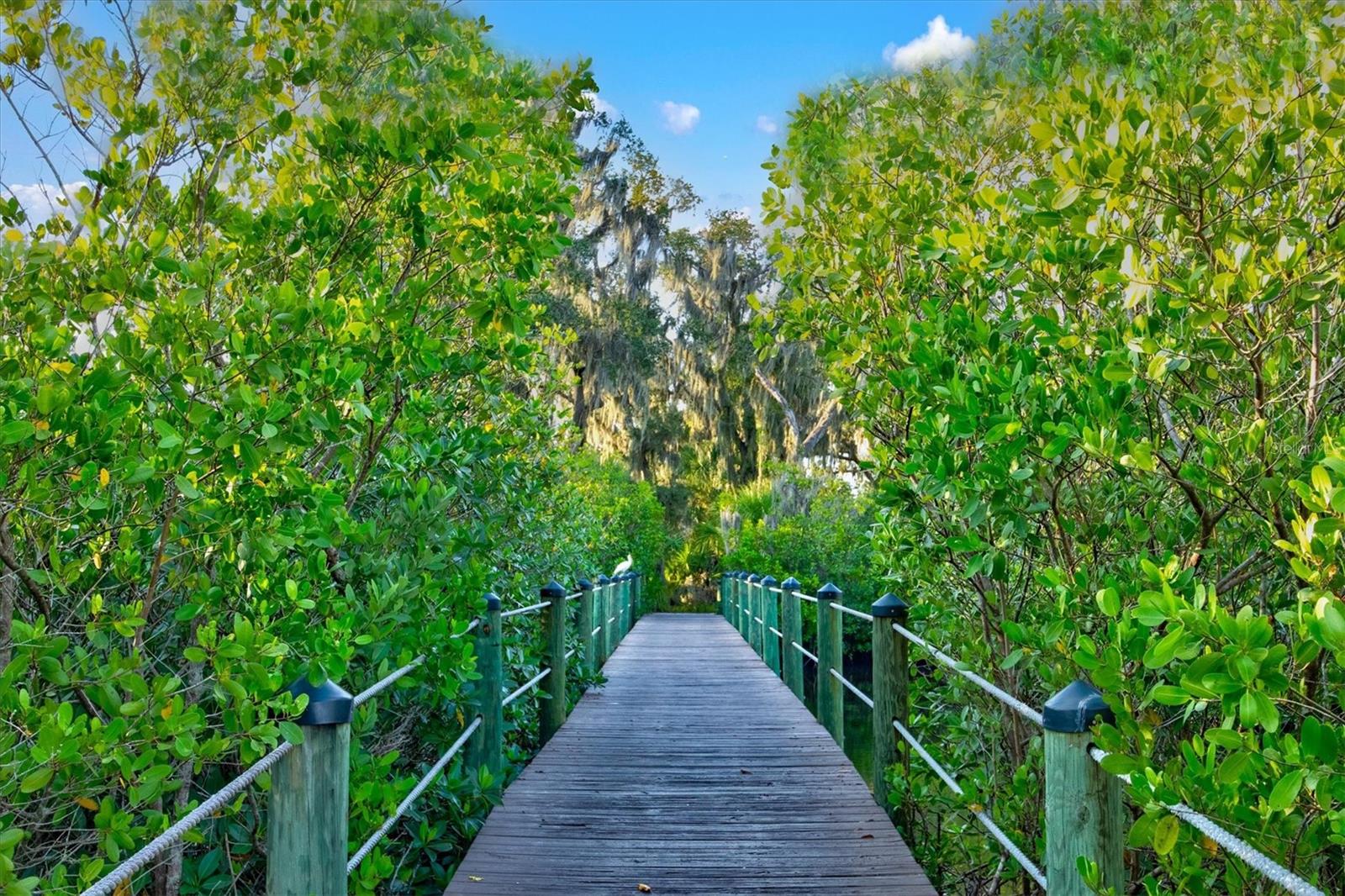 THE INLETS AT RIVERDALE REV - Residential