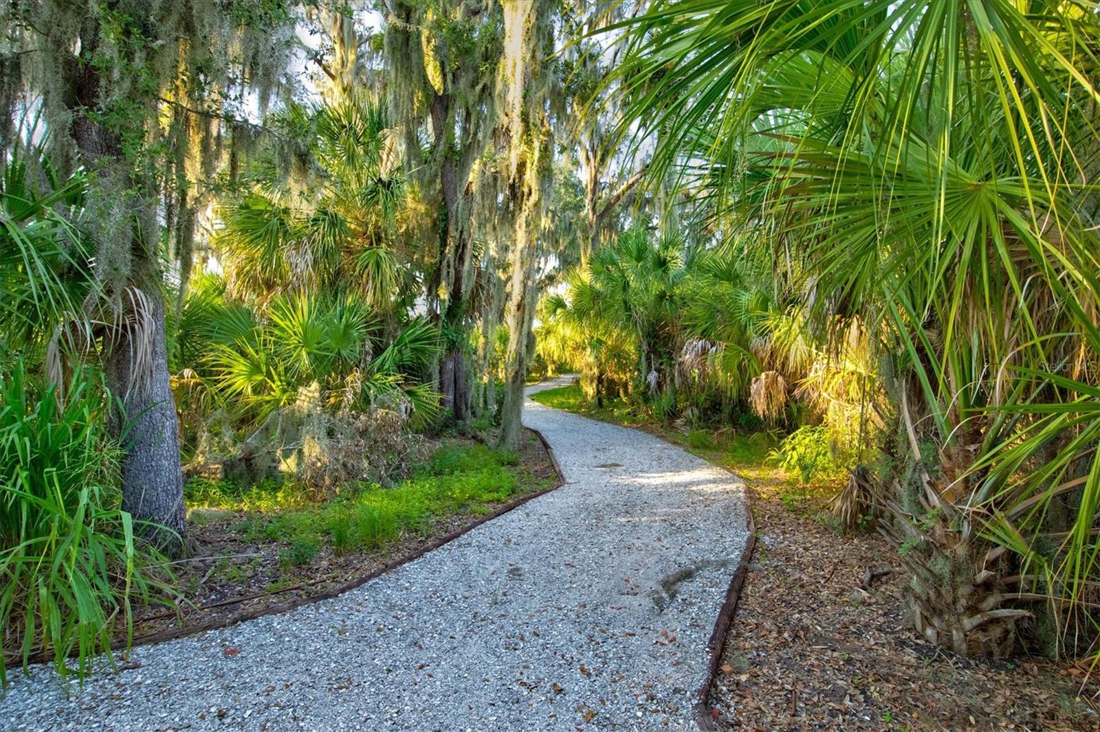 THE INLETS AT RIVERDALE REV - Residential