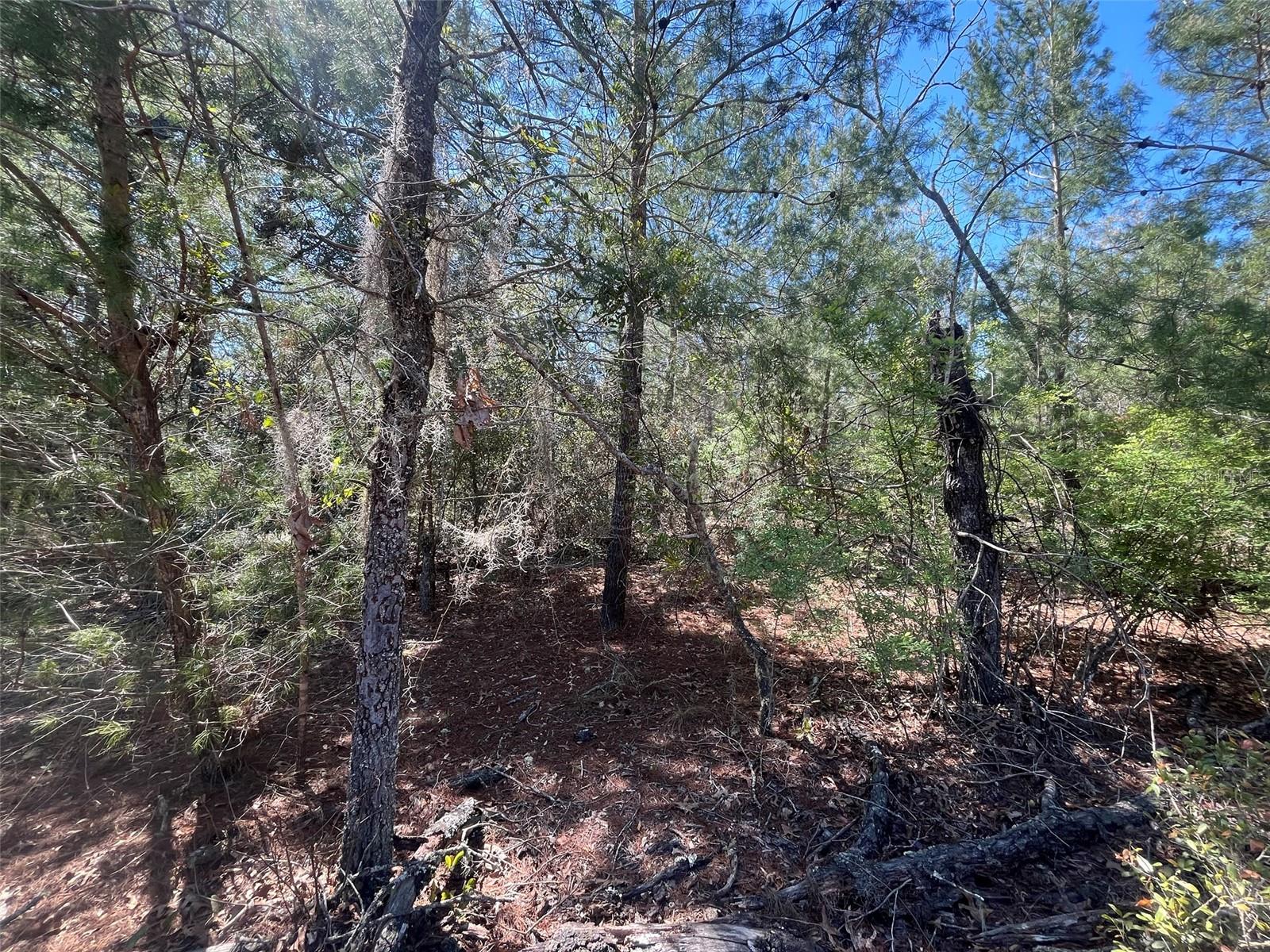 INTERLACHEN LAKES ESTATES - Land