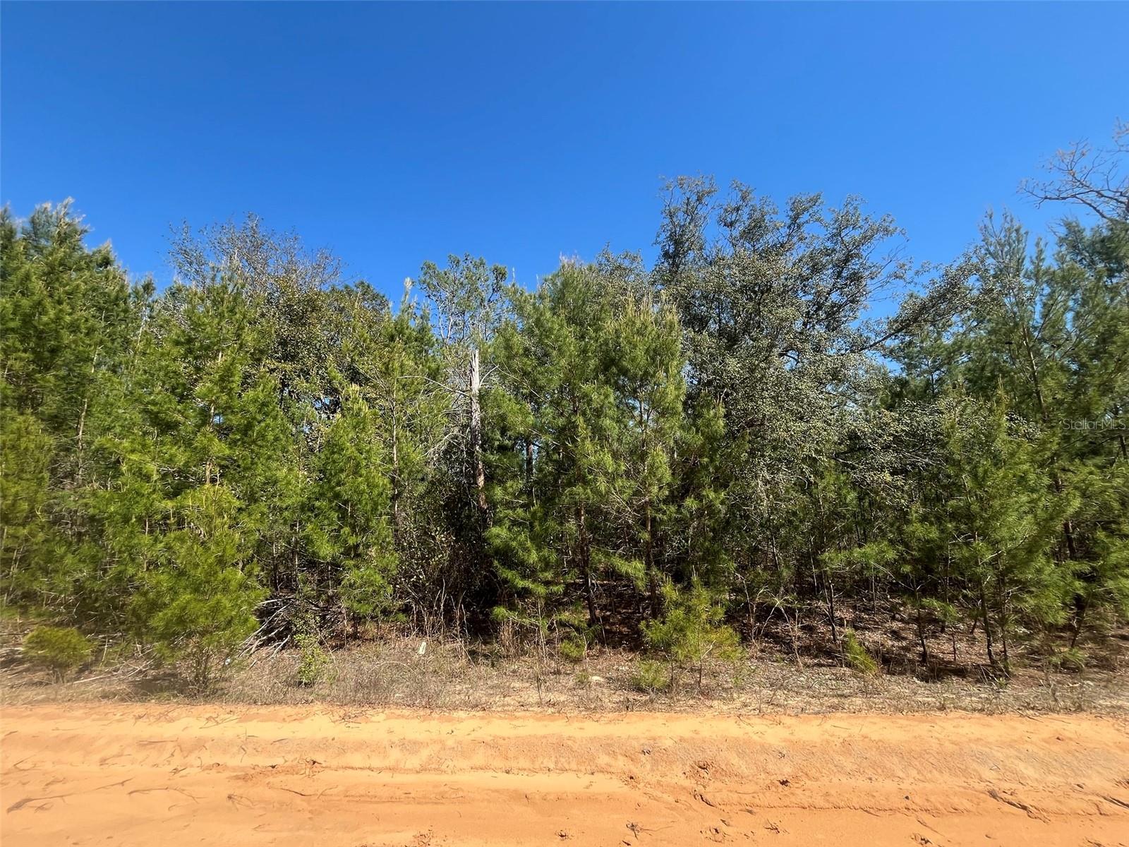 INTERLACHEN LAKES ESTATES - Land