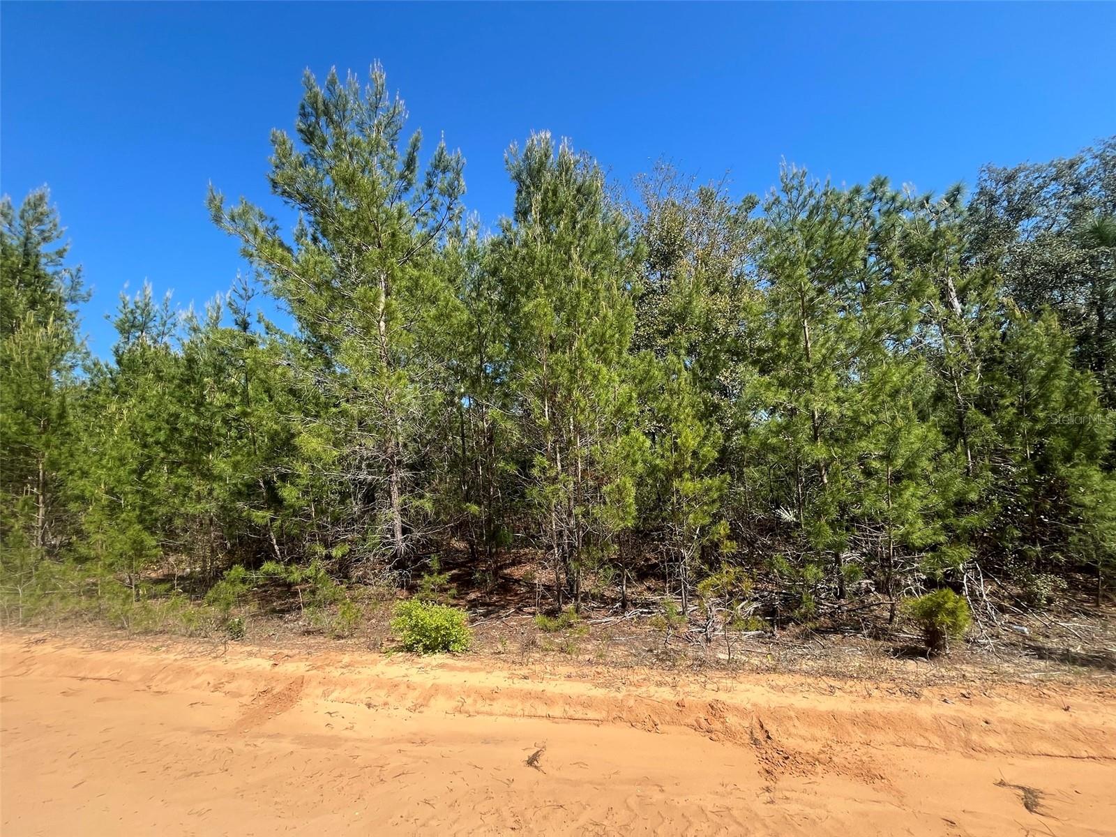 INTERLACHEN LAKES ESTATES - Land