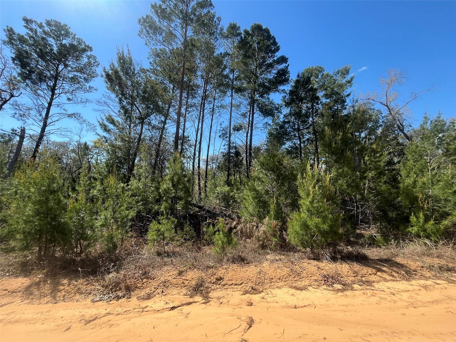 INTERLACHEN LAKES ESTATES - Land