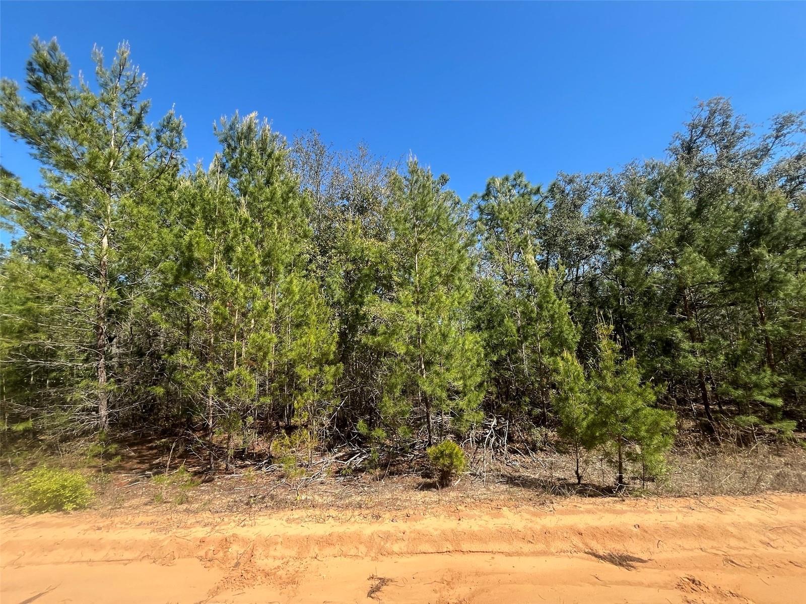 Do not miss out on this oversized 1.08-acre high and dry lot in the growing city of Interlachen. Located within minutes of schools, restaurants, diners, and parks. An easy commute to Gainesville or Palatka and less than an hour from the beach. Investing in land in Florida is a wise choice for your future, whether you're looking to build your dream home, a vacation getaway, a rental property, or simply let the land appreciate as a valuable long-term asset to resell at a profit in the future. For directional purposes use 116 Neisman ave