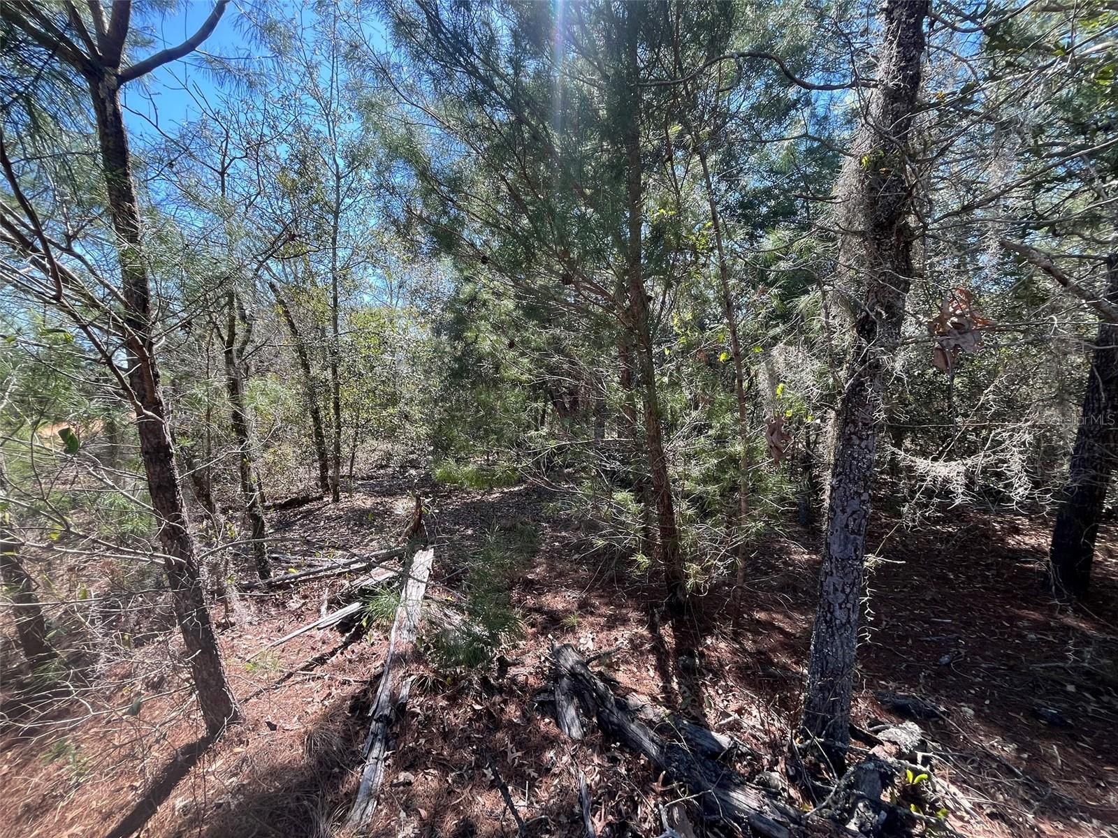 INTERLACHEN LAKES ESTATES - Land