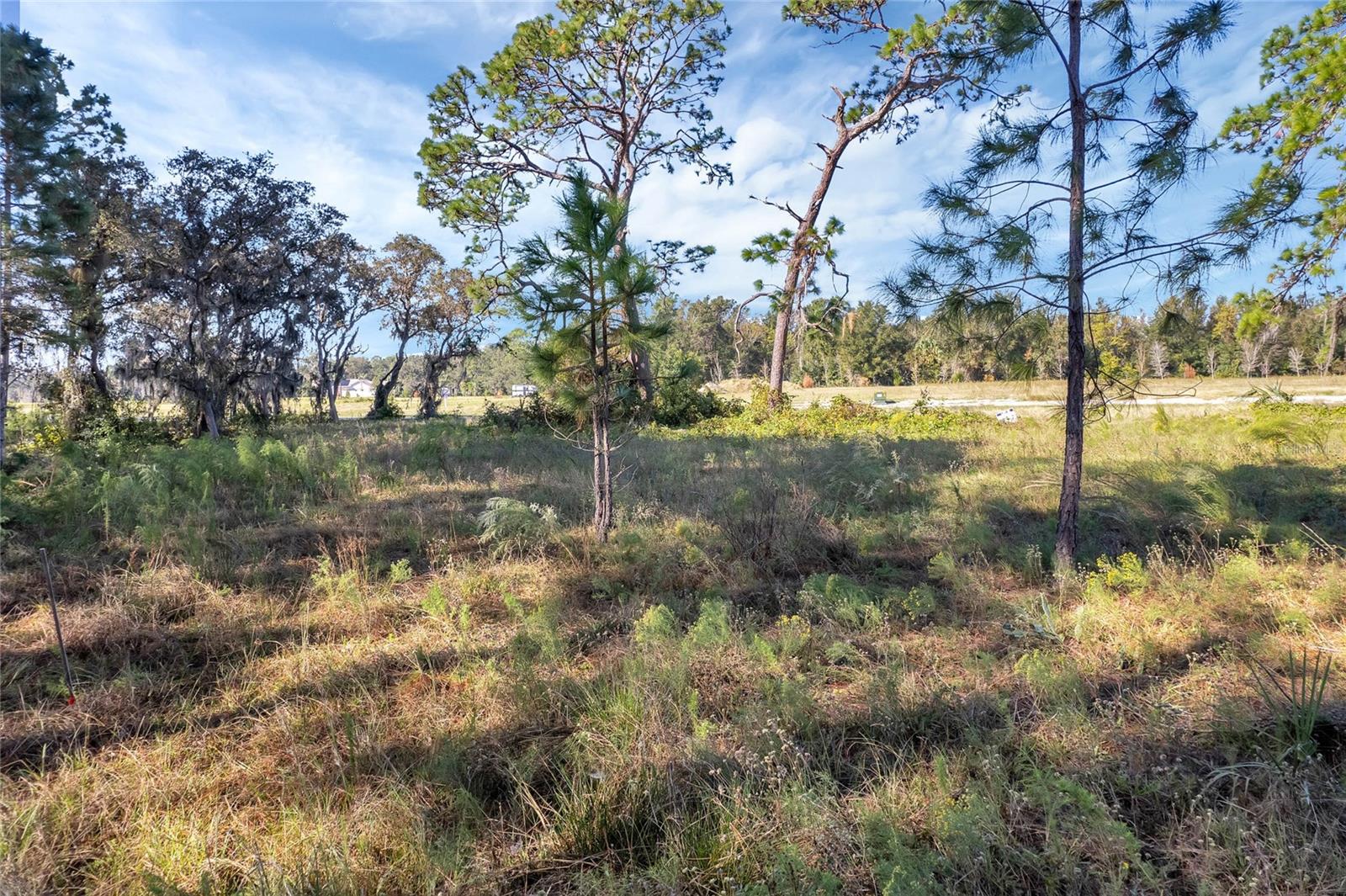 SHORELINE RANCH - Land