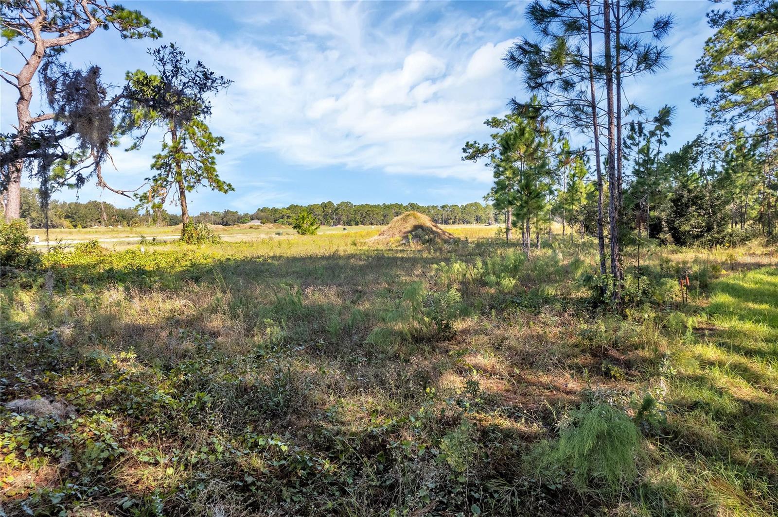 SHORELINE RANCH - Land